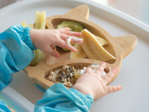 Toddler Finger Food